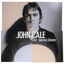 Album cover of The Island Years