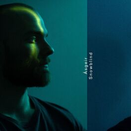 Album cover of Snowblind