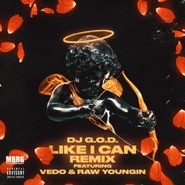 Album cover of Like I Can (Remix)