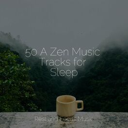 Album cover of 50 A Zen Music Tracks for Sleep