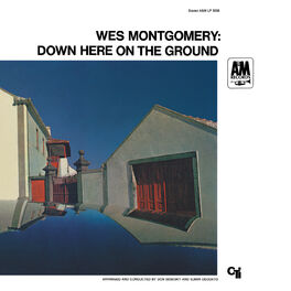Album cover of Down Here On The Ground