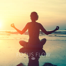 Album cover of Focus Flow