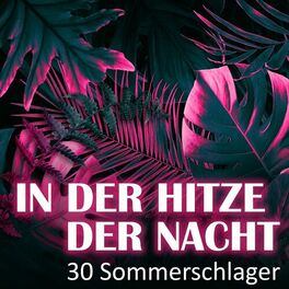 Album cover of In der Hitze der Nacht - 30 Sommerschlager