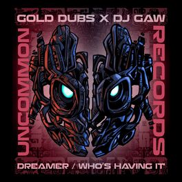 Album cover of Dreamer / Who's Having it