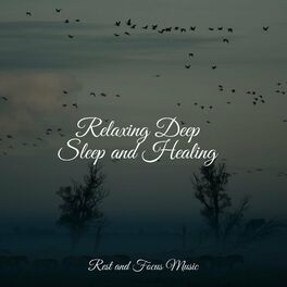 Album cover of Relaxing Deep Sleep and Healing