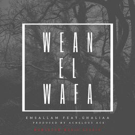 Album cover of Wean El Wafa