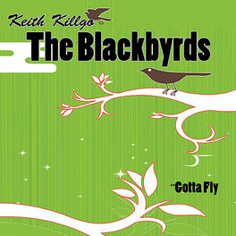 Album cover of Gotta Fly