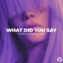 Album cover of What Did You Say