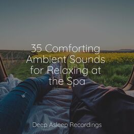 Album cover of 35 Comforting Ambient Sounds for Relaxing at the Spa