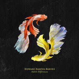 Album cover of Subtle Differences