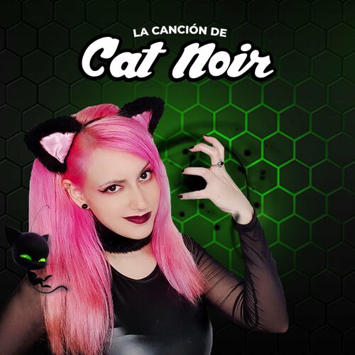 Hitomi Flor - La Canción de Cat Noir (It's my life) (Cover en Español):  lyrics and songs | Deezer