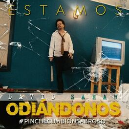 Album cover of Estamos Odiándonos