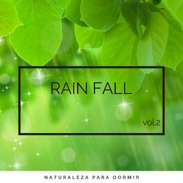 Album cover of 1 Rain Fall vol. 2