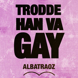 Album cover of Trodde han va gay