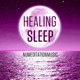 Album cover of Healing Sleep