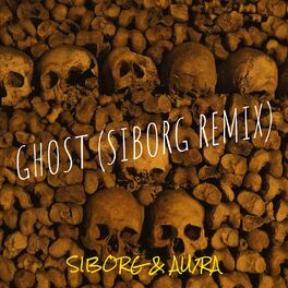 Album cover of Ghost (Siborg Remix)