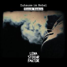 Album cover of Zuhause im Nebel (Sinok Remix)