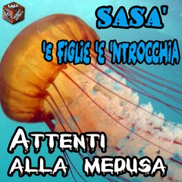 Album cover of Attenti alla medusa