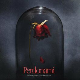 Album cover of Perdonami (feat. Neima Ezza)