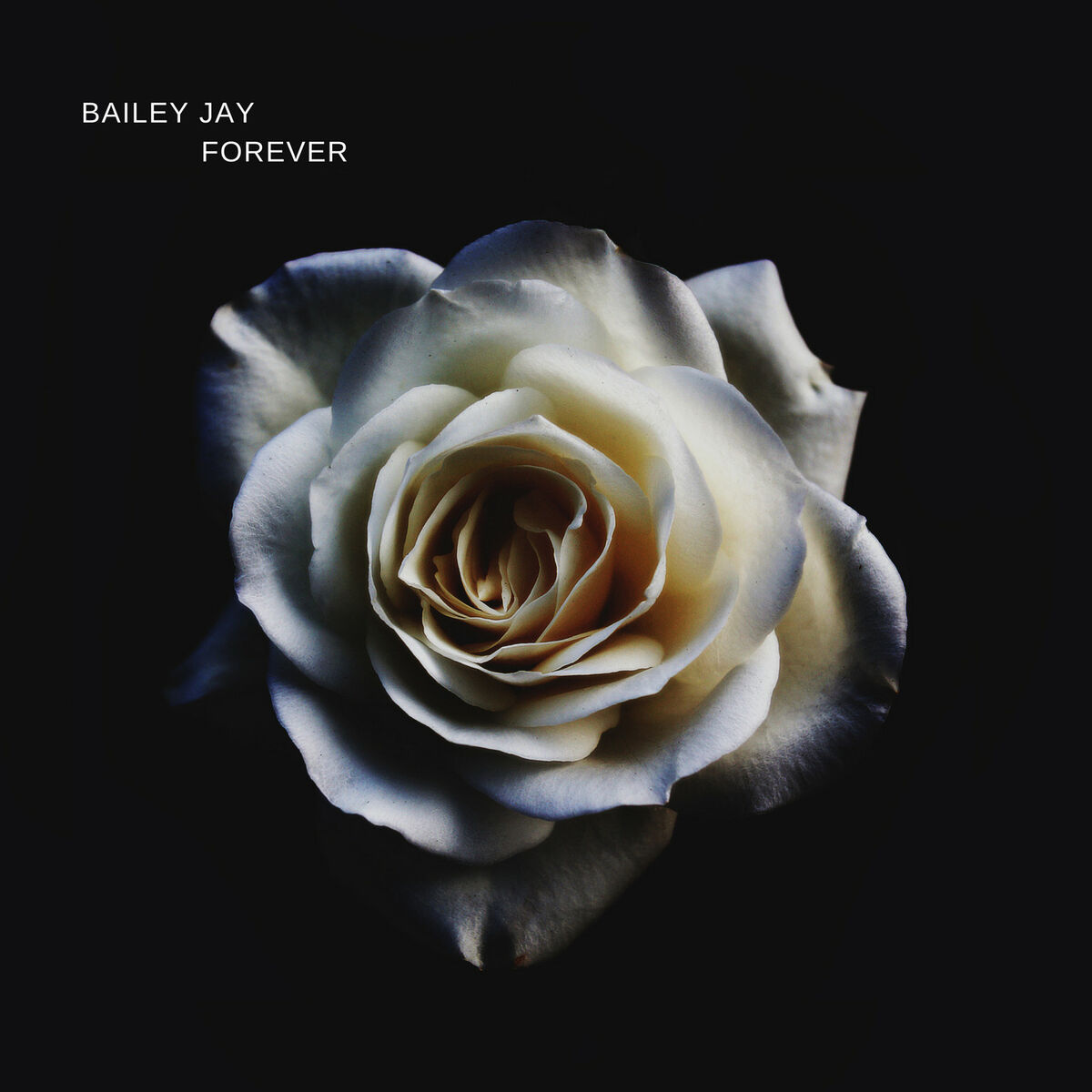 Bailey Jay: albums, songs, playlists | Listen on Deezer