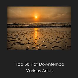 Album cover of Top 50 Hot Downtempo