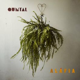 Album cover of Quintal