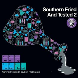 Album cover of Southern Fried & Tested 2 (Unmixed Version)