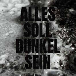 Album cover of Alles soll dunkel sein