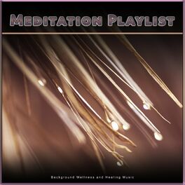 Album cover of Meditation Playlist: Background Wellness and Healing Music