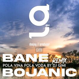 Album cover of Pola Vino Pola Voda (Remix by dj gimi)