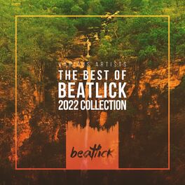 Album cover of The Best of Beatlick 2022 Collection
