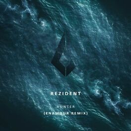 Album cover of Hunter (Enamour Remix)