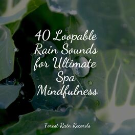 Album cover of 40 Loopable Rain Sounds for Ultimate Spa Mindfulness