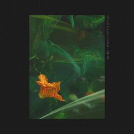 Album cover of Slide (feat. Ben Imber) [Henry Green Remix]