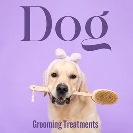 Album cover of Dog Grooming Treatments: 15 Peaceful Melodies and Blissful Nature for Dogs and Puppies