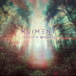 Album cover of FOREST OF WISHES (REMIXES)
