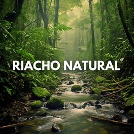 Album cover of Riacho Natural