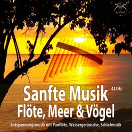 Album cover of Sanfte Musik Flöte, Meer und Vögel - Entspannungsmusik (432Hz) mit Panflöte, Wassergeräusche, Schlafmusik
