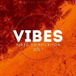 Album cover of Vibes, Vol. 1 (Mixed Compilation)