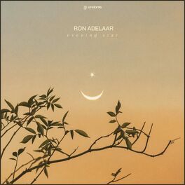 Album cover of Evening Star