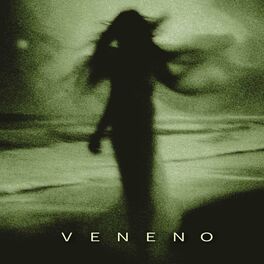 Album cover of Veneno (feat. lil ze)