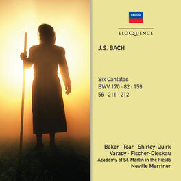 Album cover of J.S. Bach: Six Cantatas