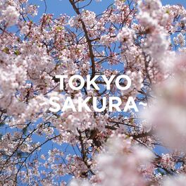 Various Artists Tokyo Sakura Lyrics And Songs Deezer