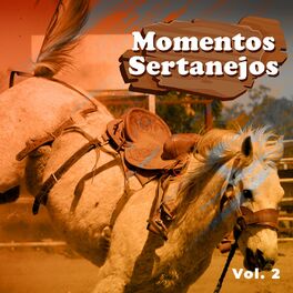 Album cover of Momentos Sertanejos, Vol.2