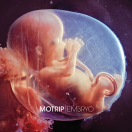 Album cover of Embryo