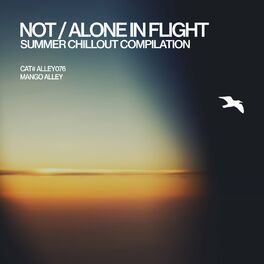 Album cover of Not / Alone in Flight