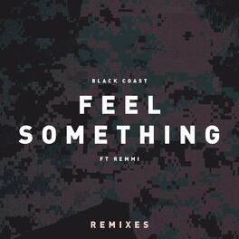 Album cover of Feel Something (feat. Remmi) (Remixes)