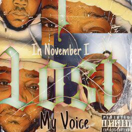 Album cover of In November I Lost My Voice