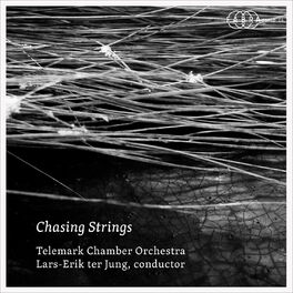 Album cover of Chasing Strings