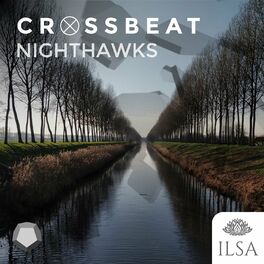 Album cover of Nighthawks (2021 Radio Edit)